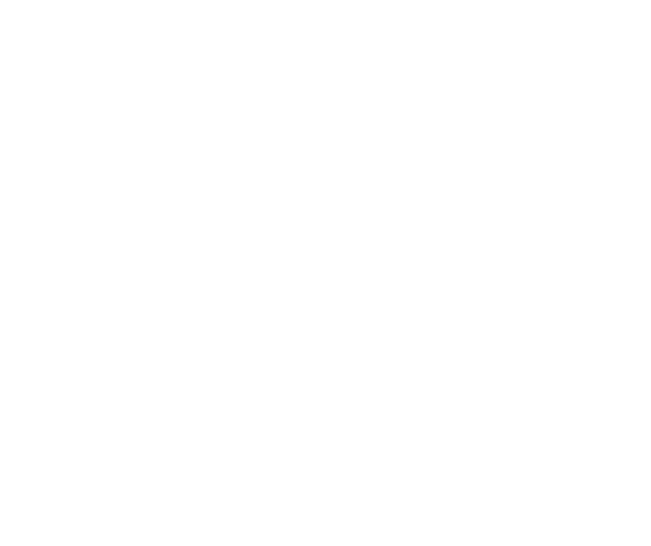 official selection brooklyn film festival